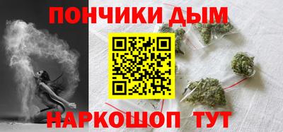 крисы Нальчик