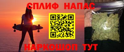 крисы Нальчик