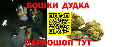 крисы Нальчик