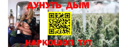 крисы Нальчик