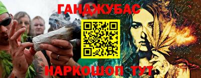крисы Нальчик