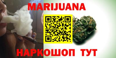 крисы Нальчик