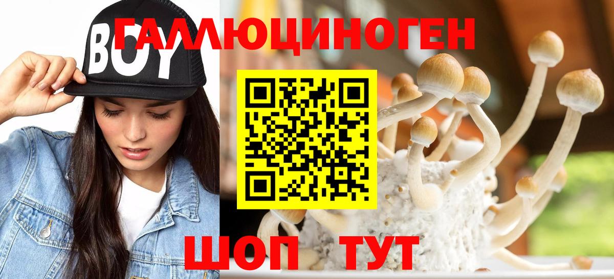 Псилоцибиновые грибы прущие грибы Сланцы