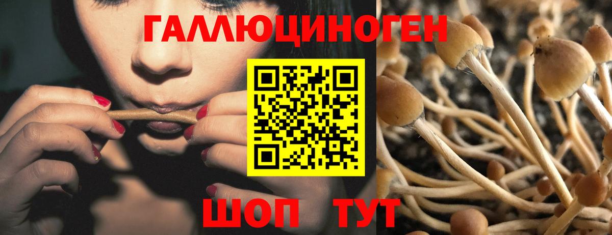 Псилоцибиновые грибы MAGIC MUSHROOMS  Вход с VPN  Сланцы 